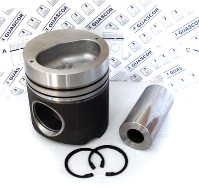 1915210 Guascor SFGLD560 Piston Kit